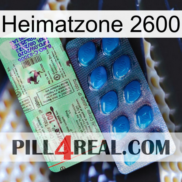 Home Zone 2600 new02.jpg